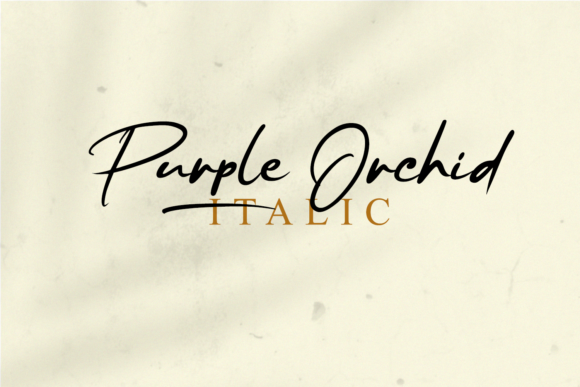 Purple Orchid Font PNG with transparent background - Preview 1