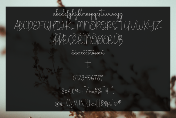 Amelin Secret Font - Preview 3