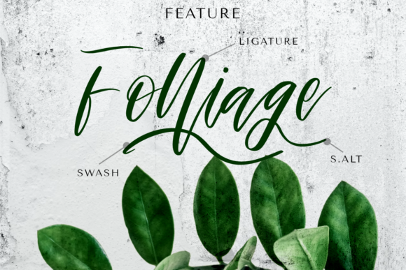 Ashley & Mellisa Font - Preview 1