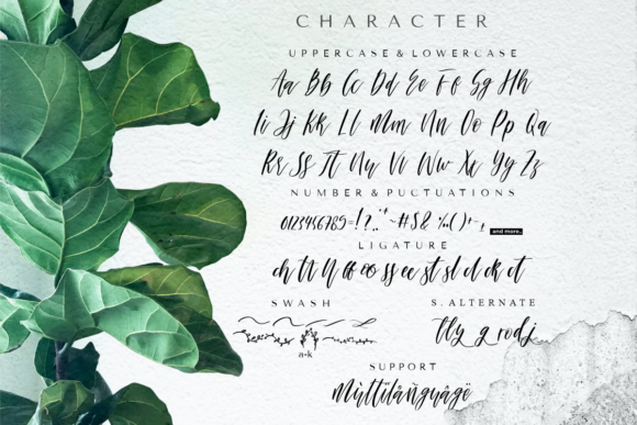 Ashley & Mellisa Font - Preview 5
