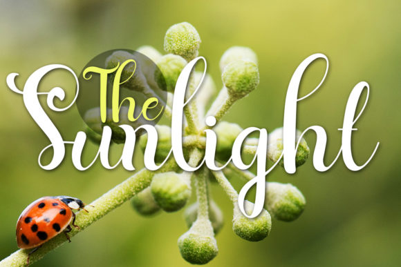 Caterpillar Script Font - Preview 5