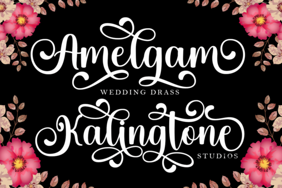 Hello Bakista Script Font - Preview 1