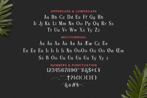 Reberry Font PNG with transparent background - Preview 4