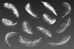 White Realistic Feather Graphic by winwin.artlab · Creative Fabrica