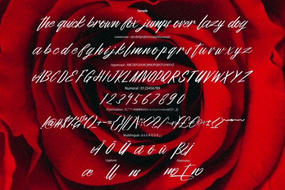 Amithien Font - Preview 5