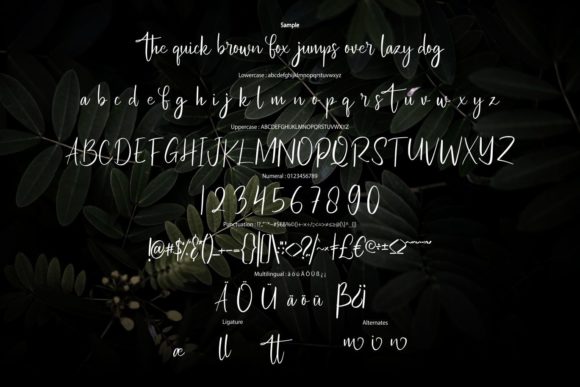 Anlaseki Font - Preview 5
