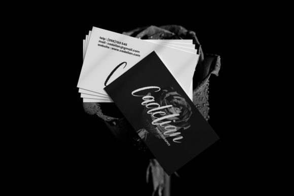 Cecellion Font - Preview 1