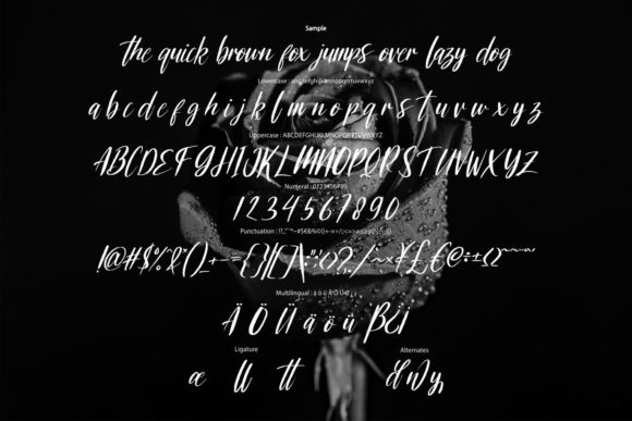 Cecellion Font - Preview 5