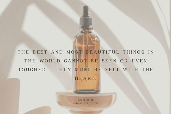 Costeintine - Modern Serif Font - Preview 2