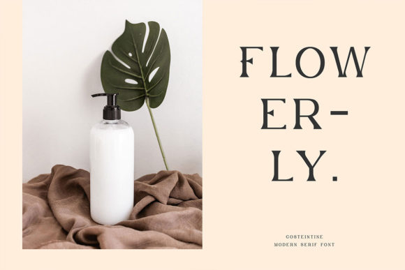 Costeintine - Modern Serif Font - Preview 3