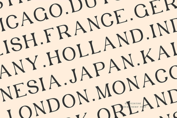 Costeintine - Modern Serif Font - Preview 4