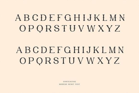 Costeintine - Modern Serif Font - Preview 5