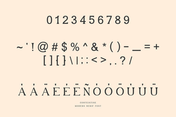 Costeintine - Modern Serif Font - Preview 6