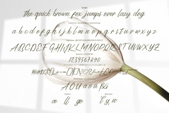 Halsyin Font PNG with transparent background - Preview 5