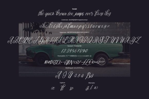 Hamillon Font - Preview 5