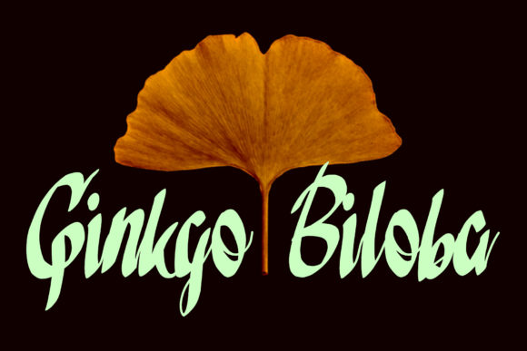 Maveow Font PNG with transparent background - Preview 3