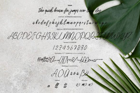 Rellion Font PNG with transparent background - Preview 5
