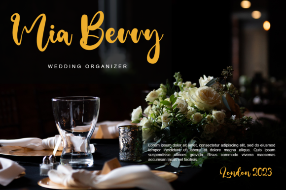 Denis Neal Font - Preview 1