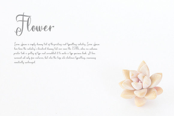 Earlington Font - Preview 3
