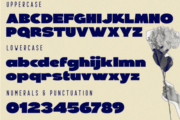Perform Generic Font PNG with transparent background - Preview 6