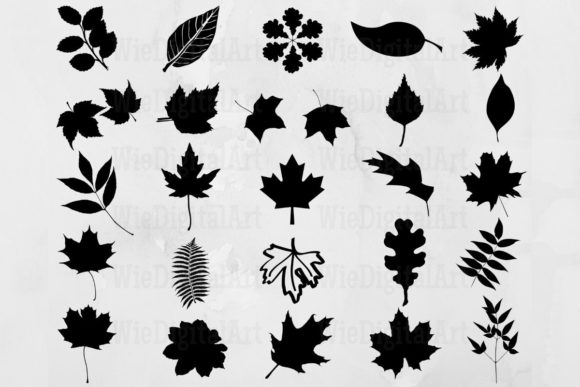 Autumn Leaves Graphic Illustrations By WieDigitalArt