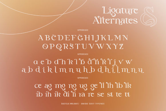 Castela Molgate Font - Preview 5