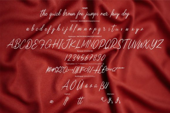 Fanetta Font - Preview 5