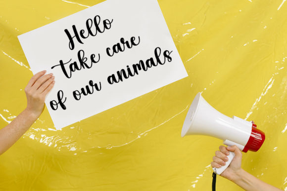 Hamster Font - Preview 3