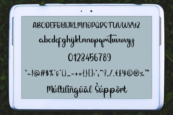 Holla Holly Font - Preview 4