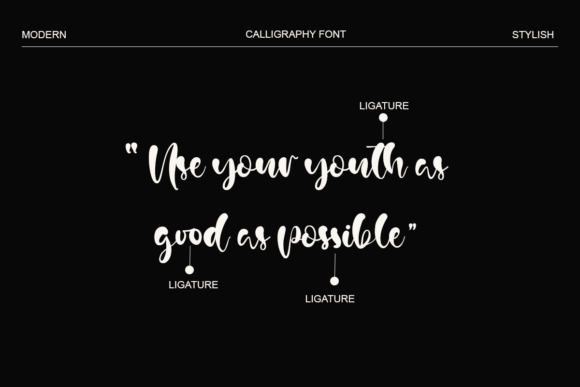 Austin Aiden Font - Preview 1