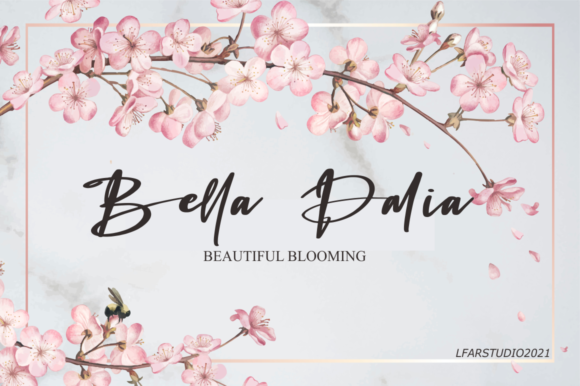 Bastia Salita Font - Preview 3