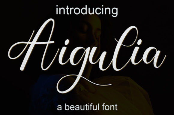 Bletinly Home Font - Preview 1