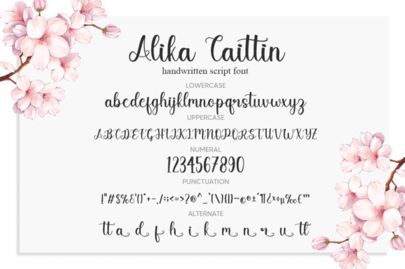 Alika Caitlin Font PNG with transparent background - Preview 5