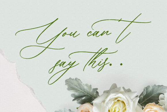 Bellychestor Font - Preview 3