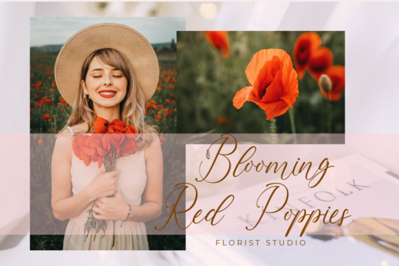 Casandra Font - Preview 1