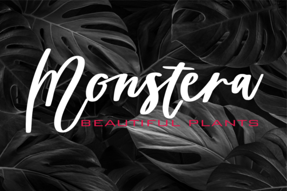 Doctor Directur Font - Preview 1