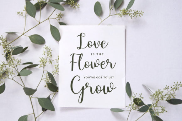 Cavillia Font - Preview 2
