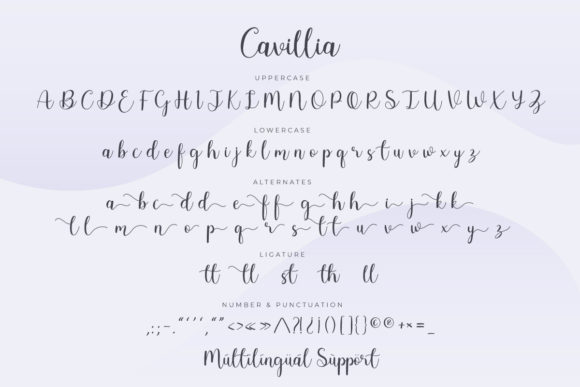 Cavillia Font - Preview 6