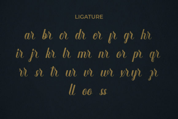 Baseliner Font - Preview 4