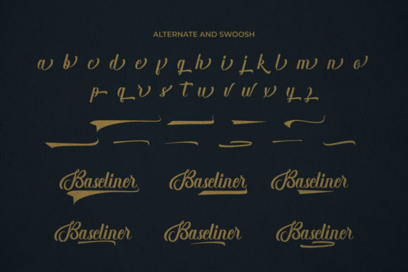 Baseliner Font - Preview 6