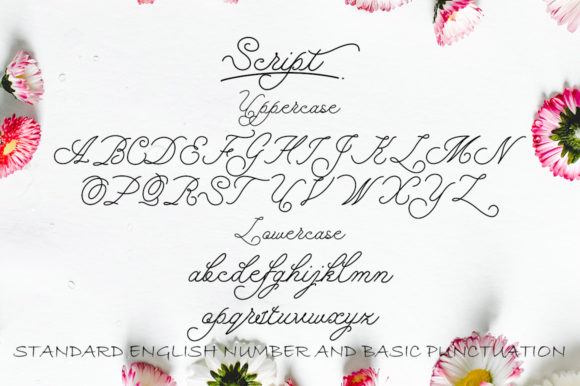 Bidara Farannisa Font - Preview 1