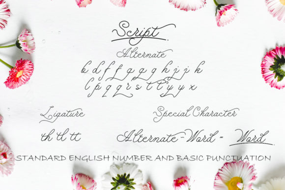 Bidara Farannisa Font - Preview 2