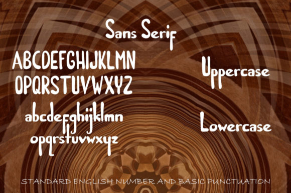 Bidara Farannisa Font - Preview 4