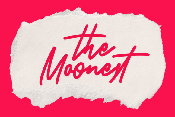 Bizare Love Monoline Script Font Font - Preview 5