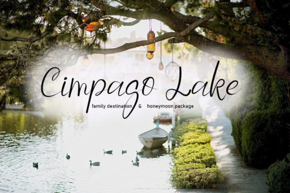 Black Swan Font - Preview 1