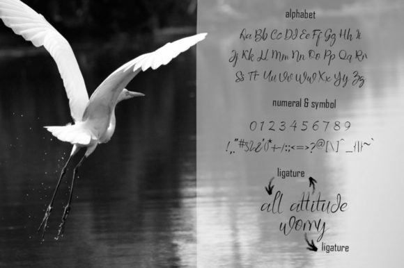 Black Swan Font - Preview 2