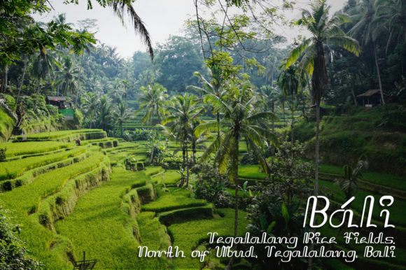 Kawulojawi Font PNG with transparent background - Preview 3