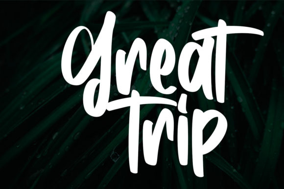 Anthem Park Font - Preview 4