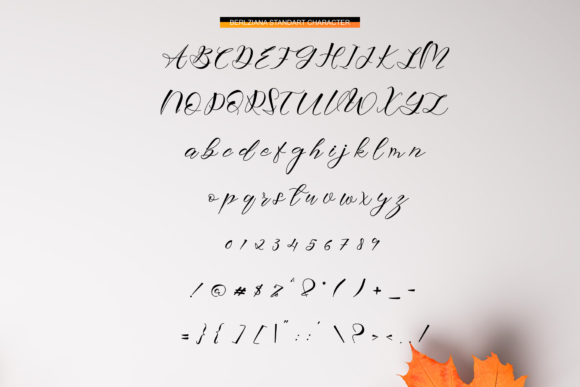 Berlziana Font - Preview 1