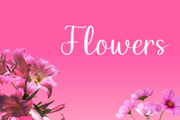 Buville Font - Preview 3
